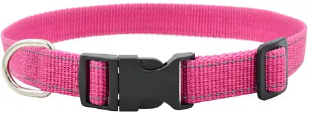 Купить zooexpress fresh line ошейник для собак, малиновый
